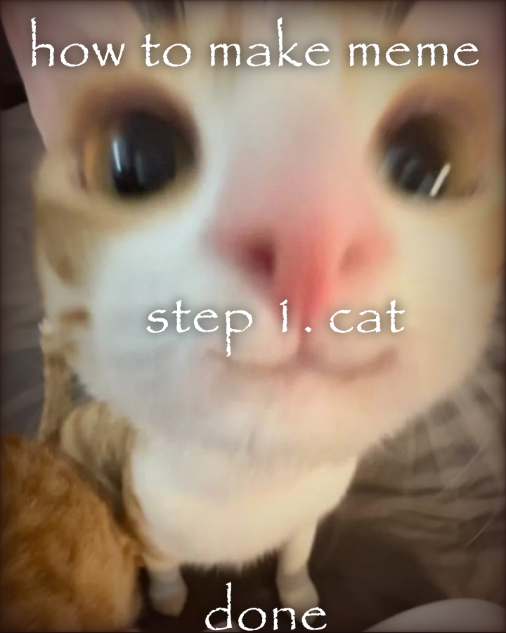 Ah Shit