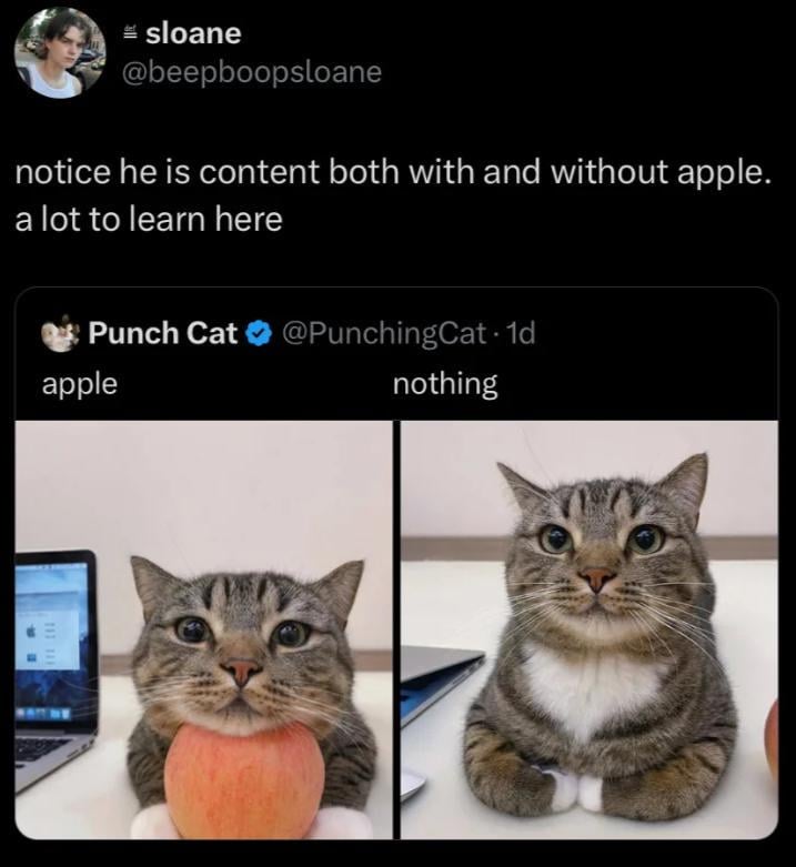 Ah Shit