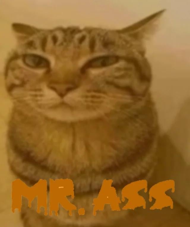 Ah Shit